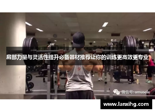 肩部力量与灵活性提升必备器材推荐让你的训练更高效更专业