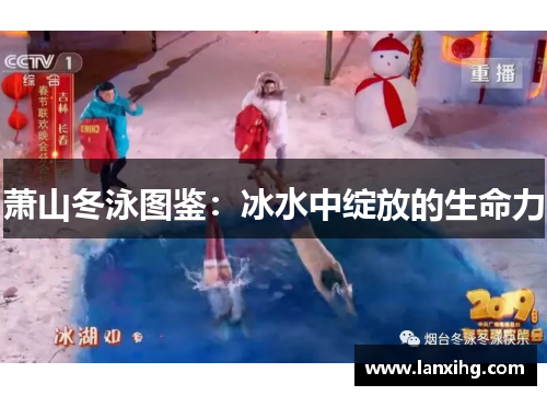 萧山冬泳图鉴：冰水中绽放的生命力