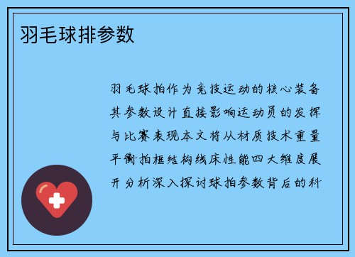 羽毛球排参数