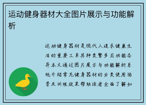 运动健身器材大全图片展示与功能解析